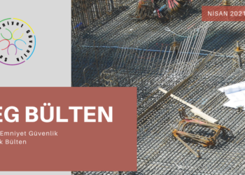 SEG BÜLTENİ SAYI 2