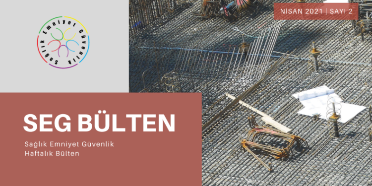 SEG BÜLTENİ SAYI 2