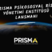 Psikososyal Risk Yönetimi Enstitüsü Lansman Toplantısına davetlisiniz